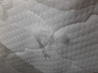 WhatsApp Image 2025-01-30 at 11.03.01 (1)