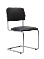 Сильва черн Сильва черн