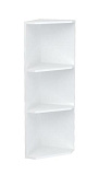 Шкаф верхний торцевой ШВПУ 920*300 (Белый)