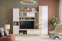 Гостиная Макси (Дуб сонома/Белое дерево)