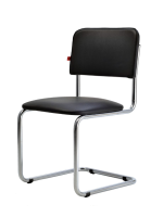 Сильва Сильва