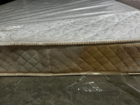 WhatsApp Image 2025-02-17 at 15.55.20 (1)